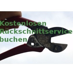 Neu Neu