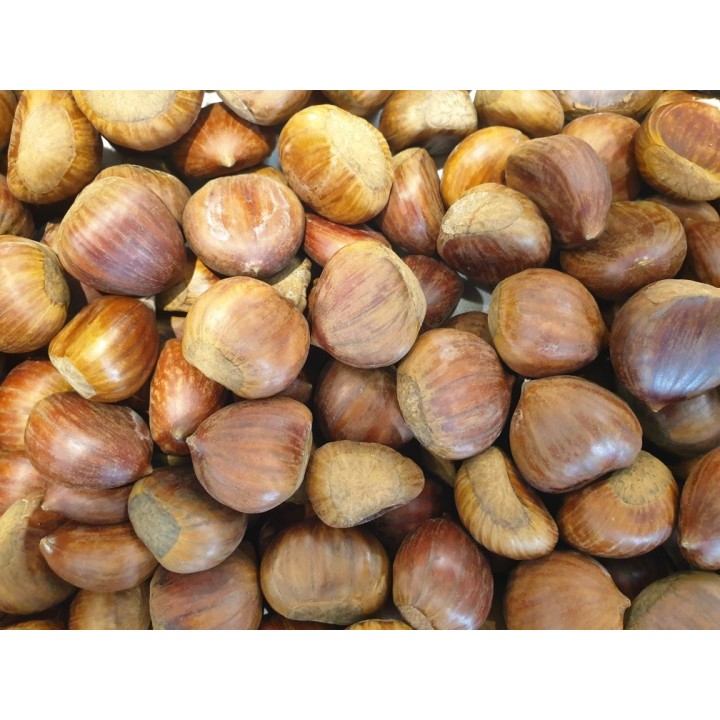 Esskastanie (Castanea sativa) 40–60 cm kaufen