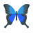 Schmetterlinge und Raupen